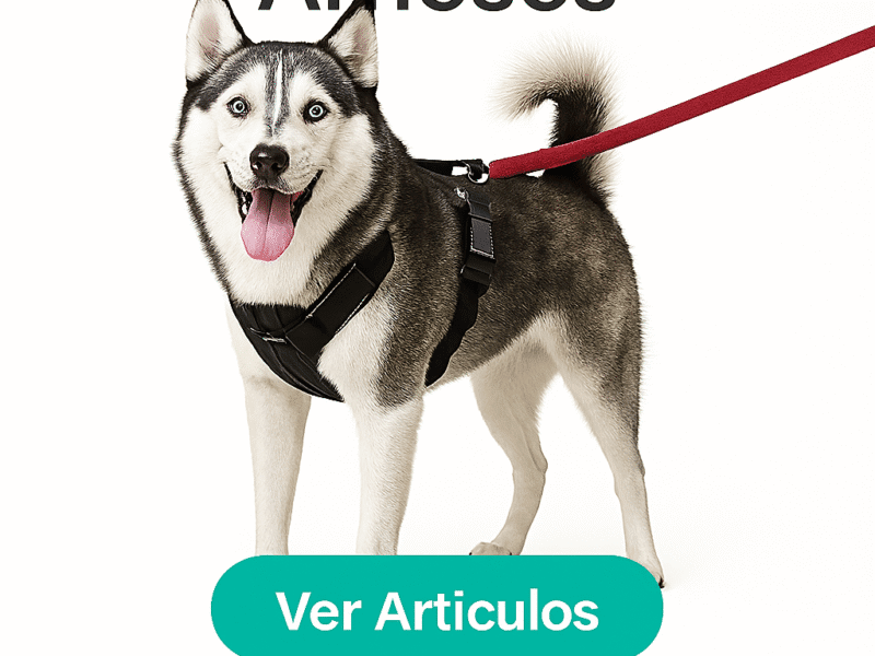 Serciocios INformaticos de caldiad